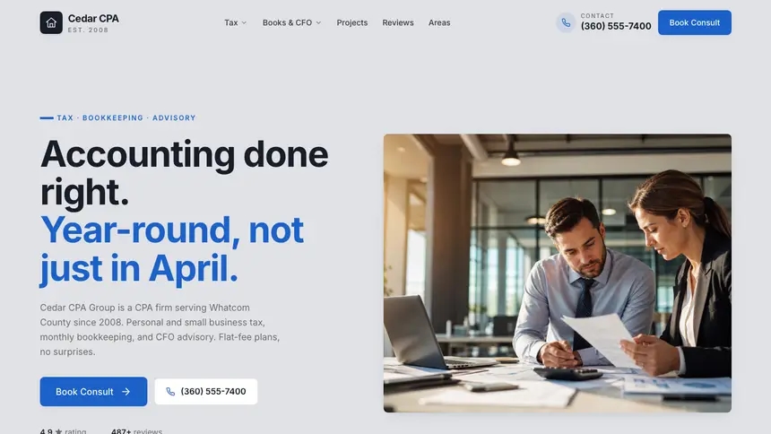 Accounting Structured Grid demo website thumbnail