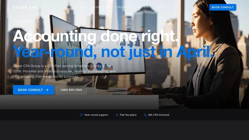 Accounting Minimal Premium demo website thumbnail