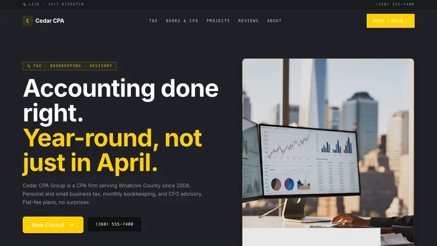 Accounting Bold Contrast demo website thumbnail