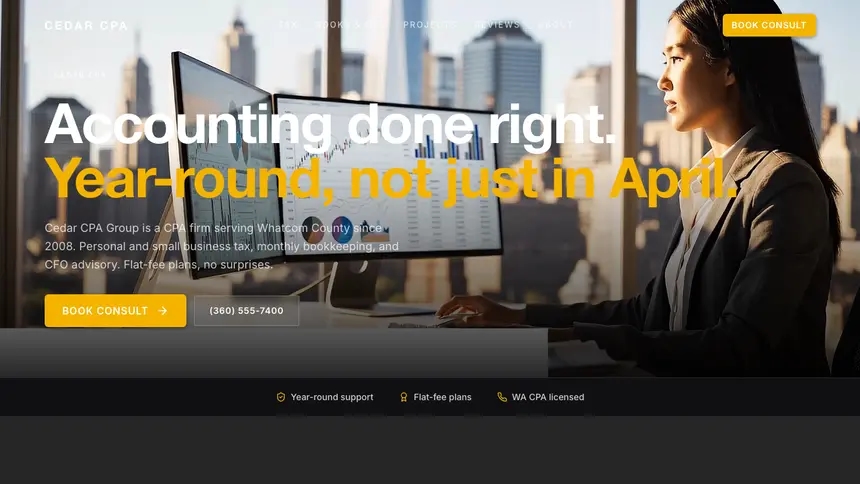 Accounting Performance Accent demo website thumbnail