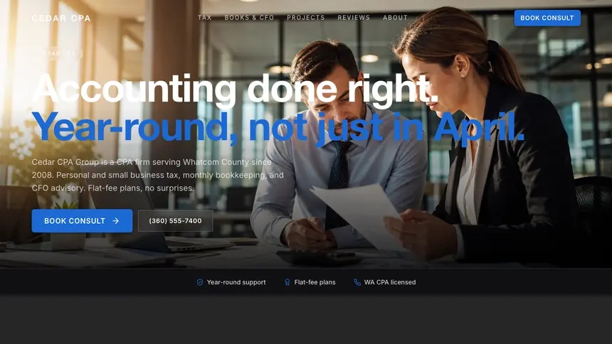 Accounting Precision Classic demo website thumbnail