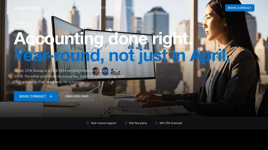 Accounting Luxury Statement demo website thumbnail