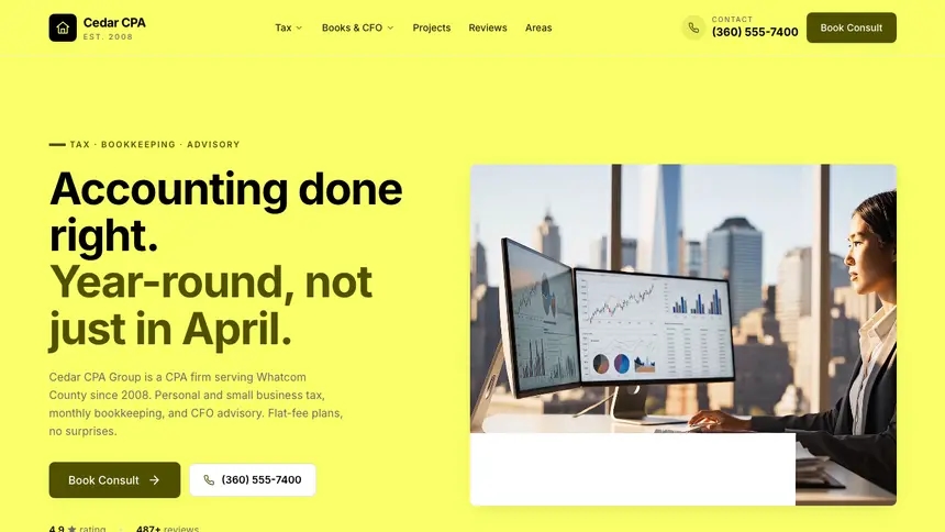 Accounting Data Clarity demo website thumbnail