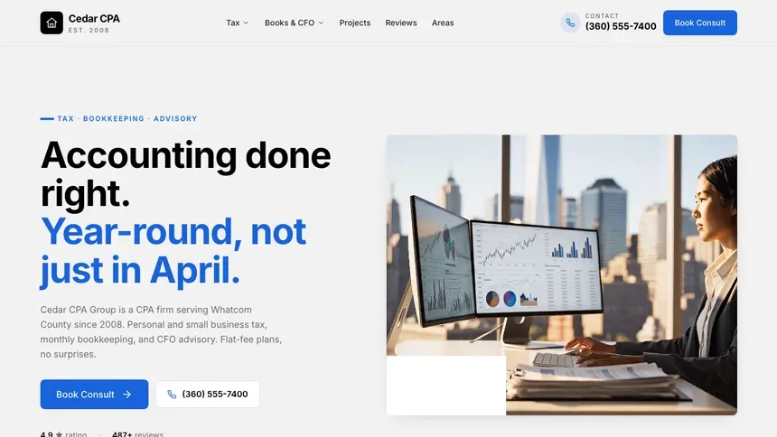 Accounting Calm Professional demo website thumbnail