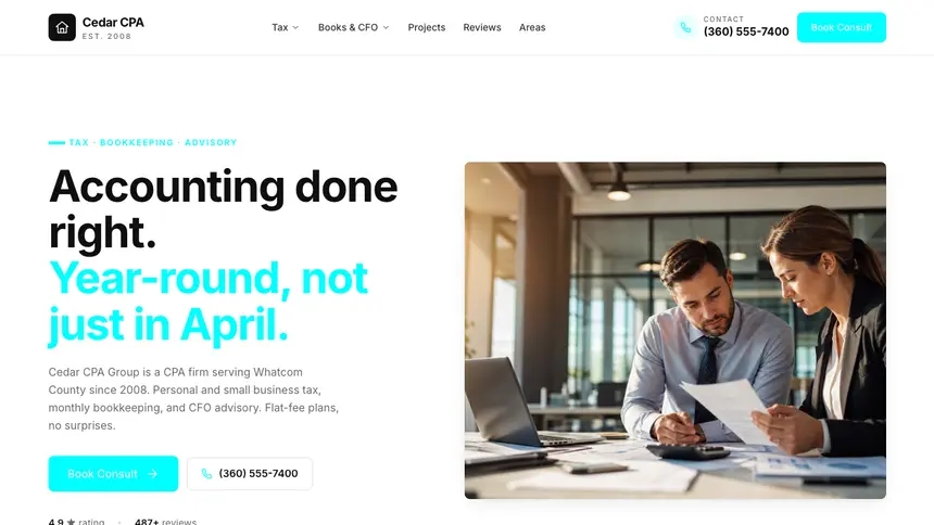 Accounting Modular Clean demo website thumbnail