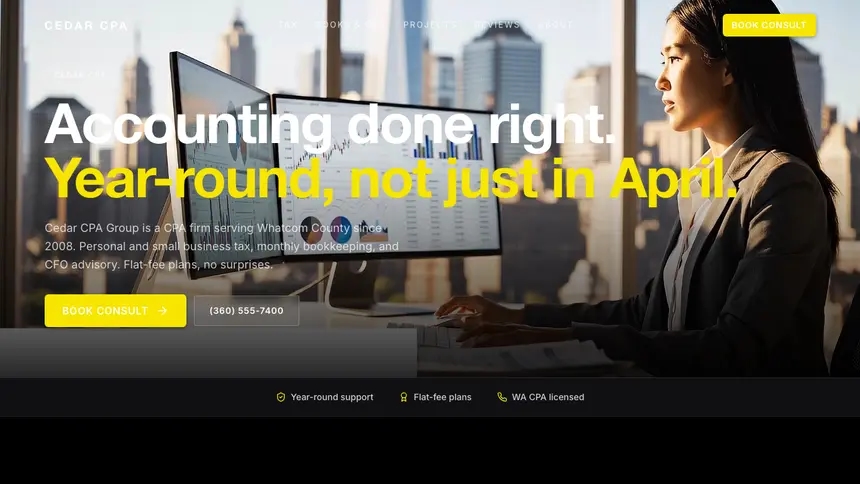 Accounting Bold Performance demo website thumbnail