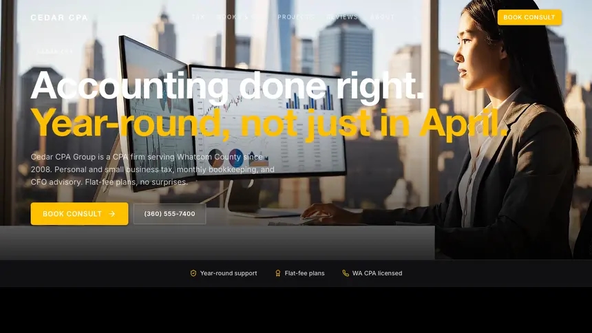 Accounting High Impact demo website thumbnail