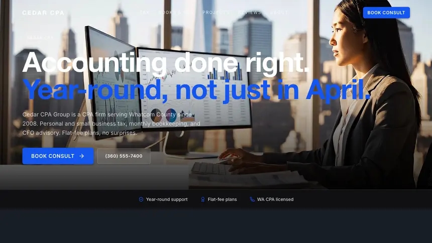 Accounting Compact Modern demo website thumbnail