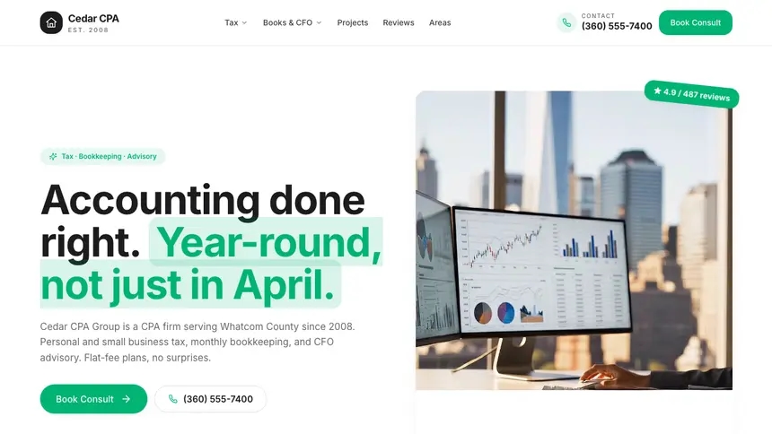 Accounting Open Canvas demo website thumbnail