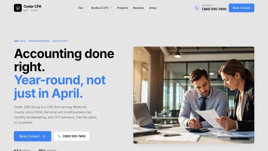 Accounting Friendly Minimal demo website thumbnail