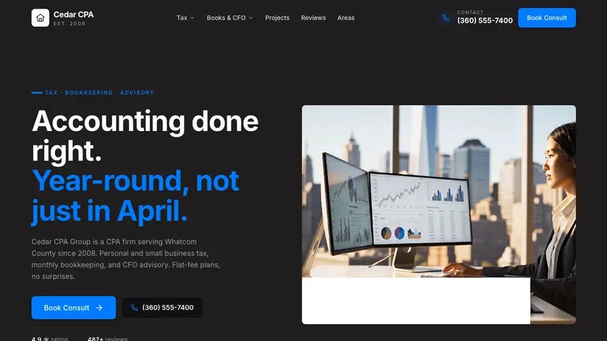 Accounting Developer Dark demo website thumbnail