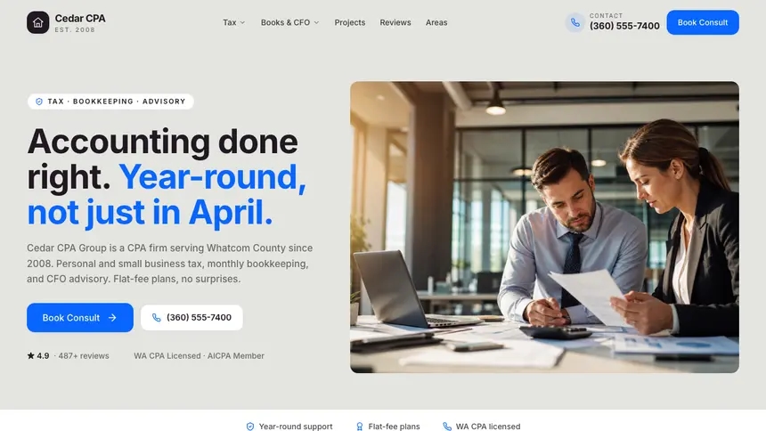 Accounting Visual Discovery demo website thumbnail