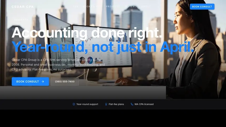 Accounting Dynamic Bold demo website thumbnail