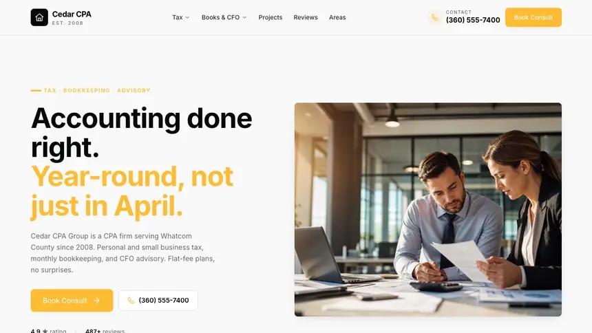 Accounting Crisp Utility demo website thumbnail