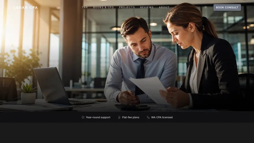 Accounting Creative Studio demo website thumbnail