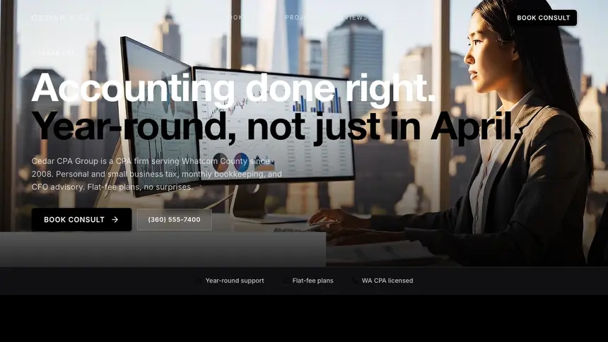 Accounting High Contrast demo website thumbnail