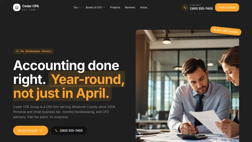 Accounting Vibrant Media demo website thumbnail