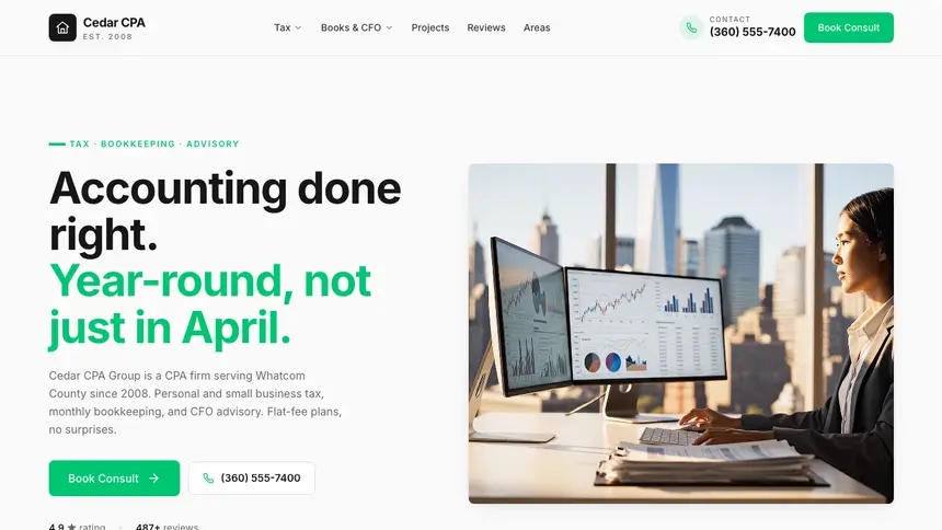 Accounting Modern Green demo website thumbnail
