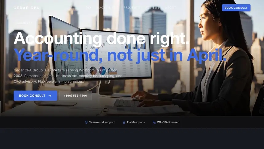 Accounting Futuristic Minimal demo website thumbnail