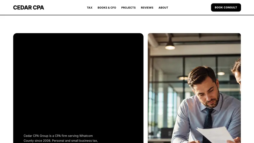 Accounting Bold Utility demo website thumbnail