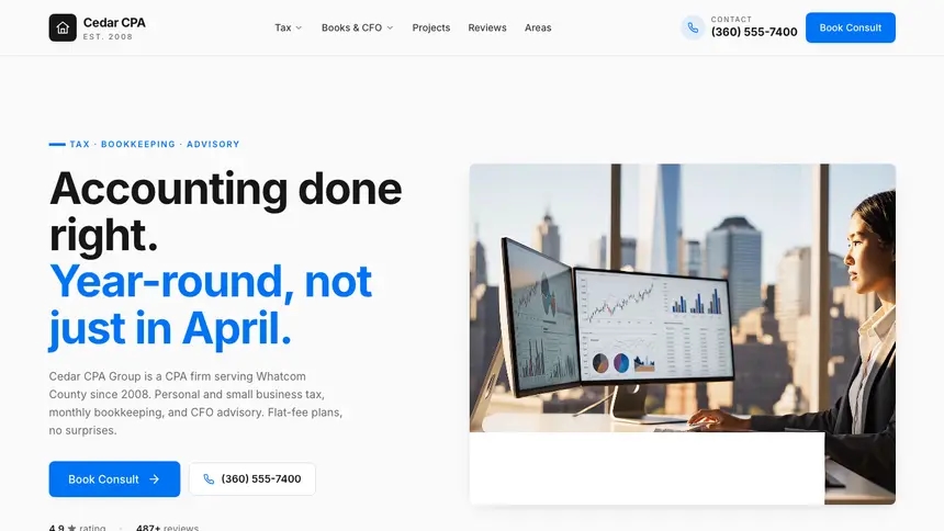 Accounting Monochrome Modern demo website thumbnail