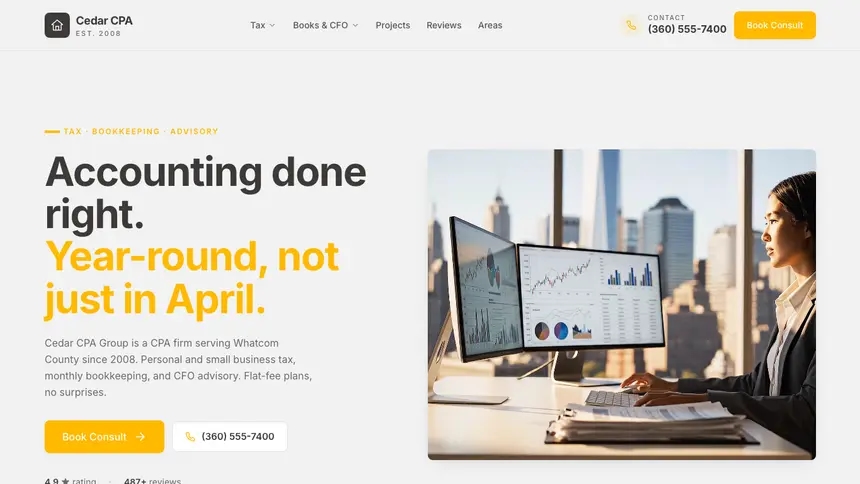 Accounting Energetic Tech demo website thumbnail