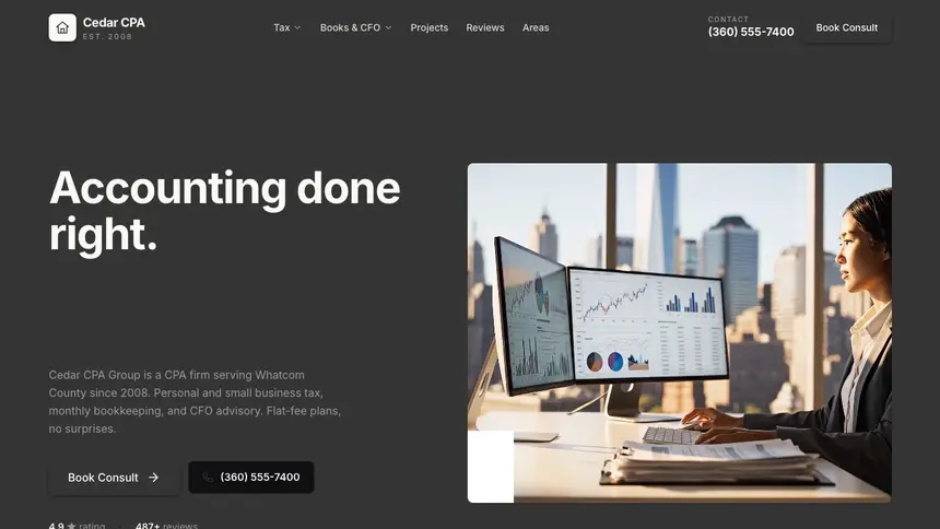Accounting Fast Utility demo website thumbnail