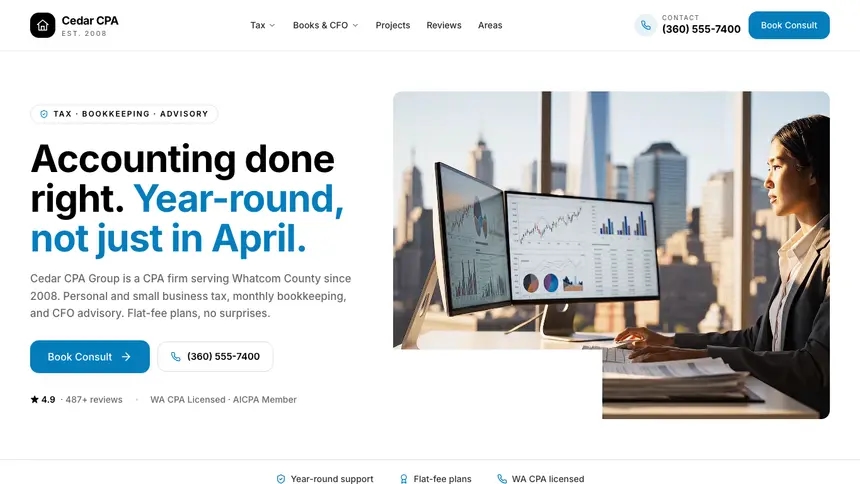 Accounting Editorial Bold demo website thumbnail