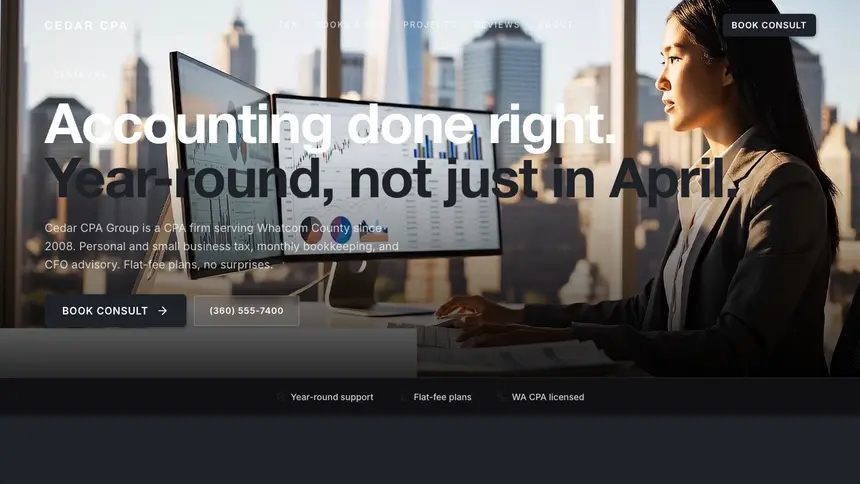 Accounting Stark Minimal demo website thumbnail