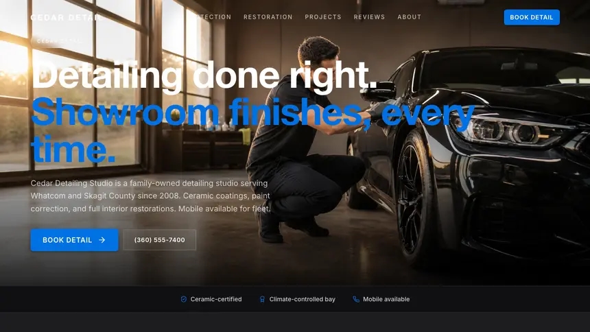 Car Detailing Minimal Premium demo website thumbnail
