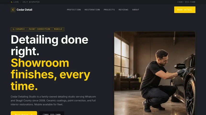 Car Detailing Bold Contrast demo website thumbnail
