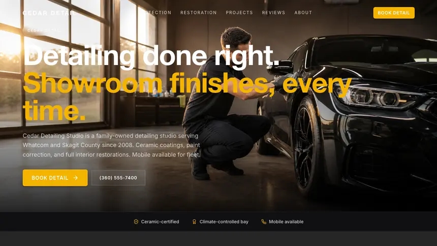 Car Detailing Performance Accent demo website thumbnail