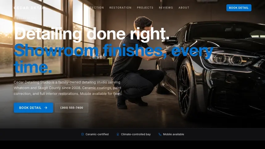 Car Detailing Luxury Statement demo website thumbnail