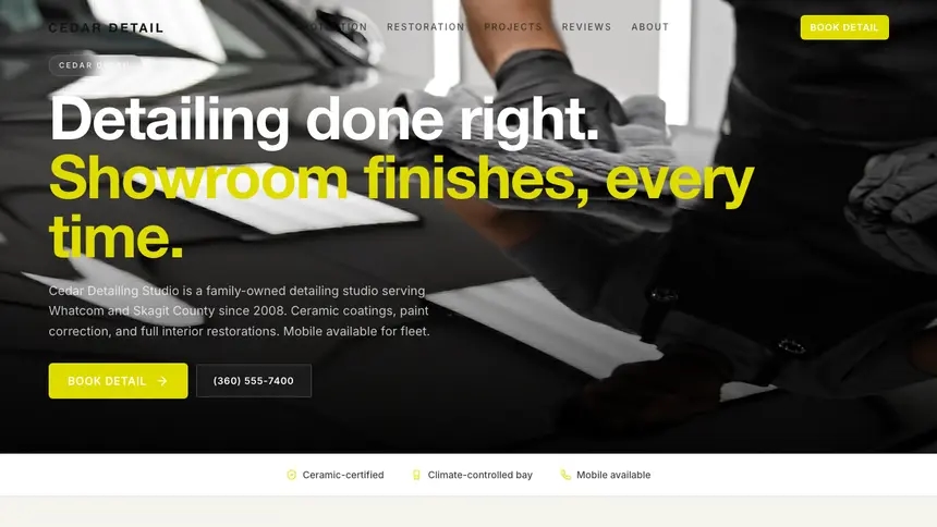 Car Detailing Soft Editorial demo website thumbnail