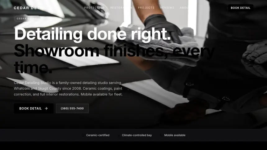 Car Detailing Expressive Modern demo website thumbnail