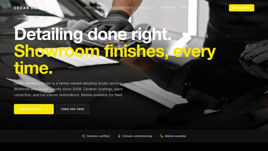 Car Detailing Bold Performance demo website thumbnail