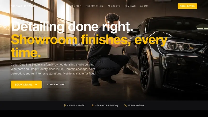 Car Detailing High Impact demo website thumbnail