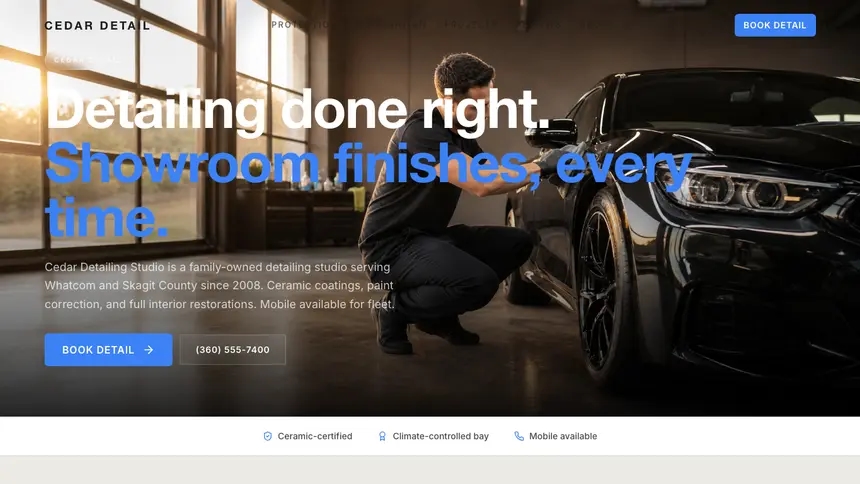 Car Detailing Soft Inviting demo website thumbnail