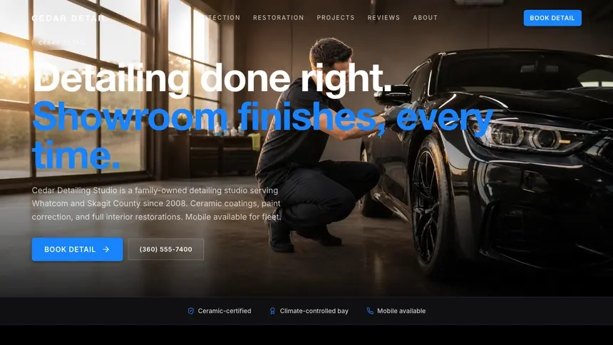 Car Detailing Dynamic Bold demo website thumbnail