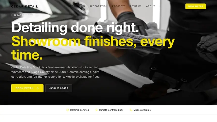 Car Detailing Modern European demo website thumbnail