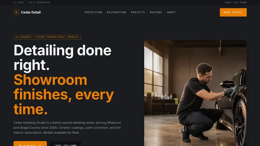 Car Detailing Modern Finance demo website thumbnail