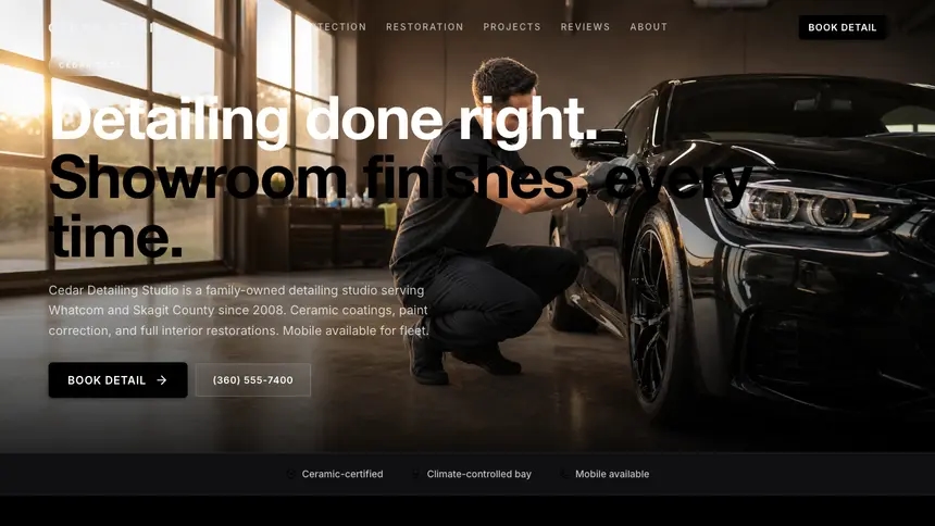 Car Detailing High Contrast demo website thumbnail