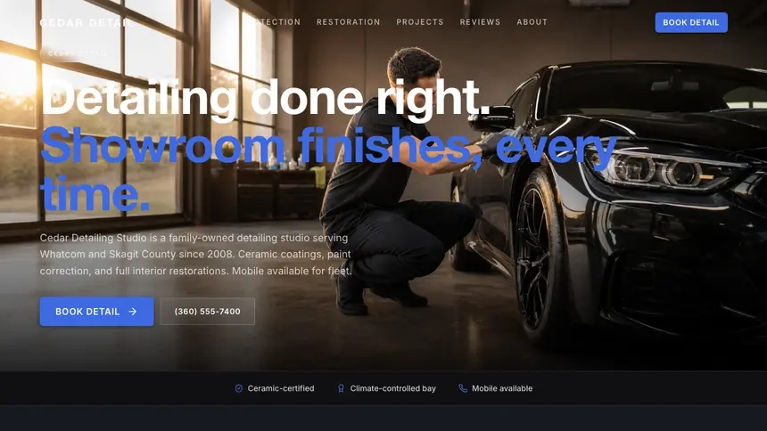 Car Detailing Futuristic Minimal demo website thumbnail