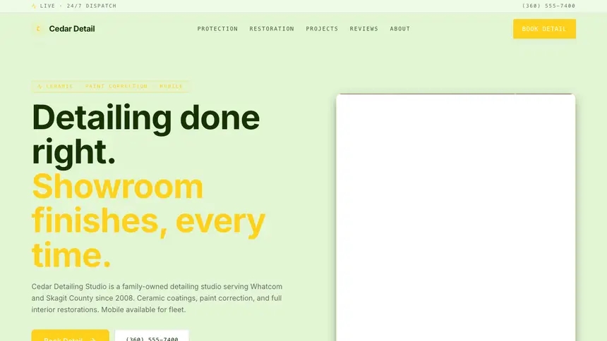 Car Detailing Bright Finance demo website thumbnail