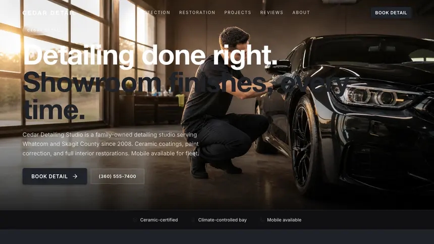 Car Detailing Stark Minimal demo website thumbnail