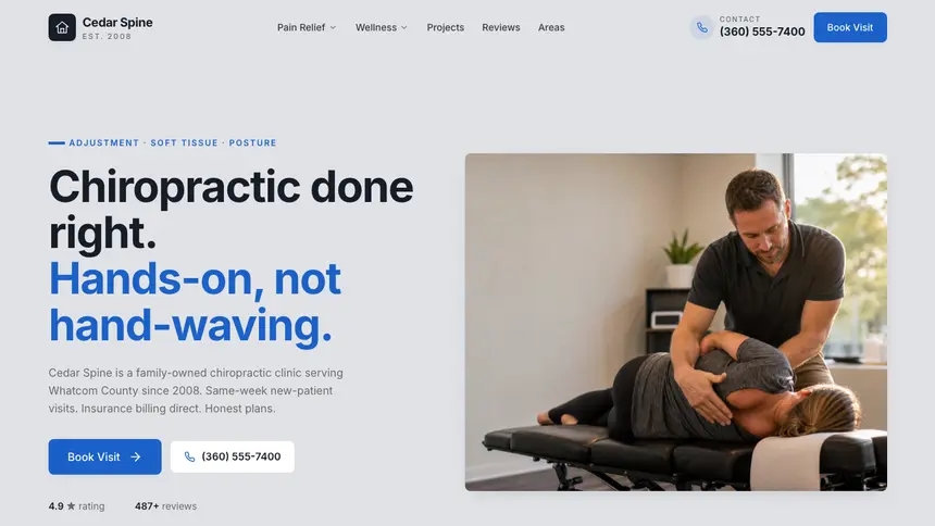 Chiropractic Structured Grid demo website thumbnail