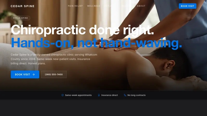 Chiropractic Minimal Premium demo website thumbnail