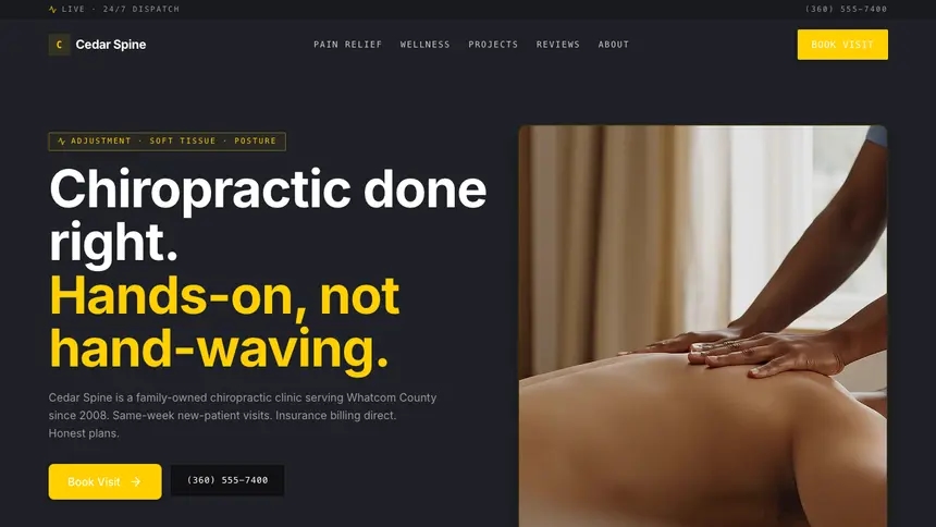 Chiropractic Bold Contrast demo website thumbnail