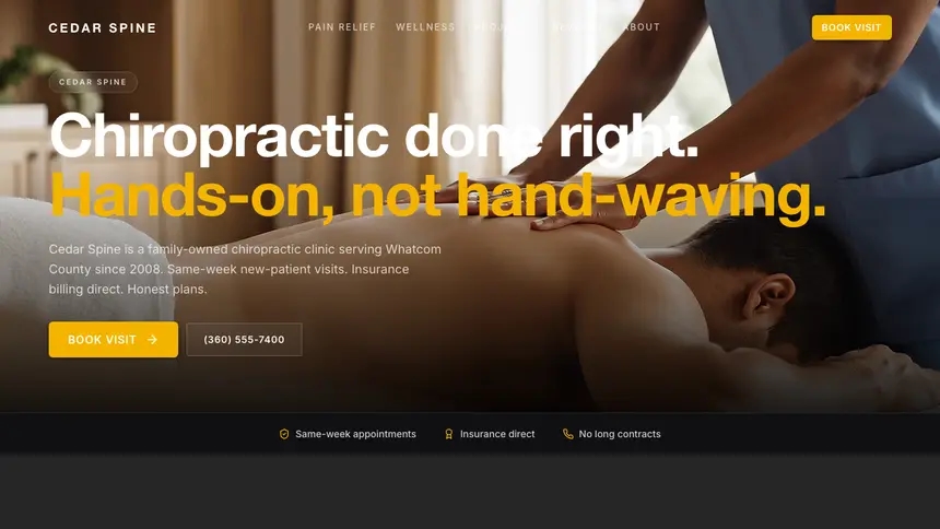 Chiropractic Performance Accent demo website thumbnail