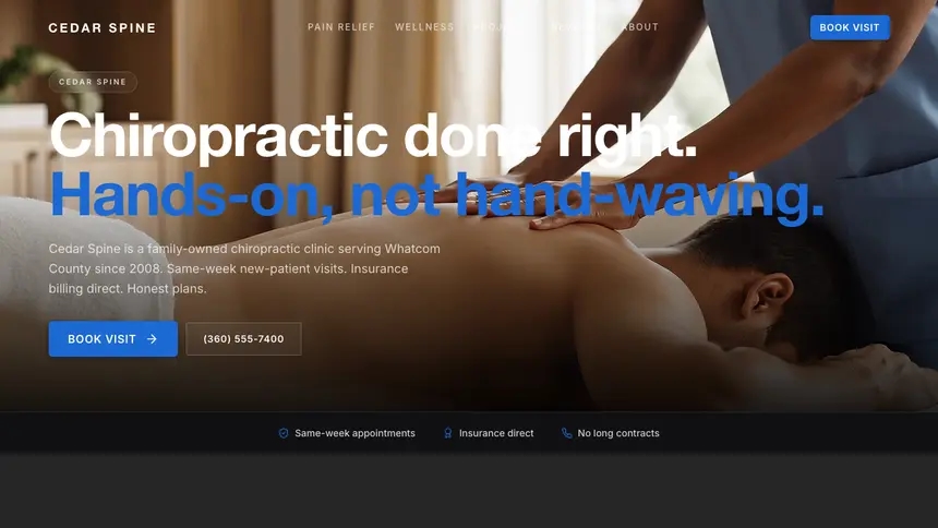 Chiropractic Precision Classic demo website thumbnail